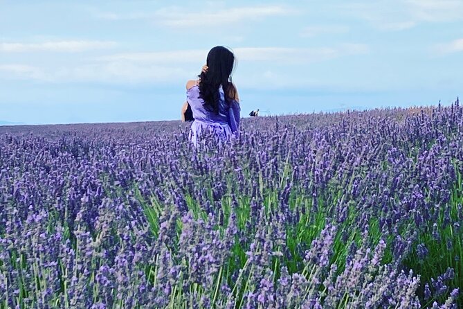 Lavender Fields Visit With Private Transportation - Marseille - Good To Know