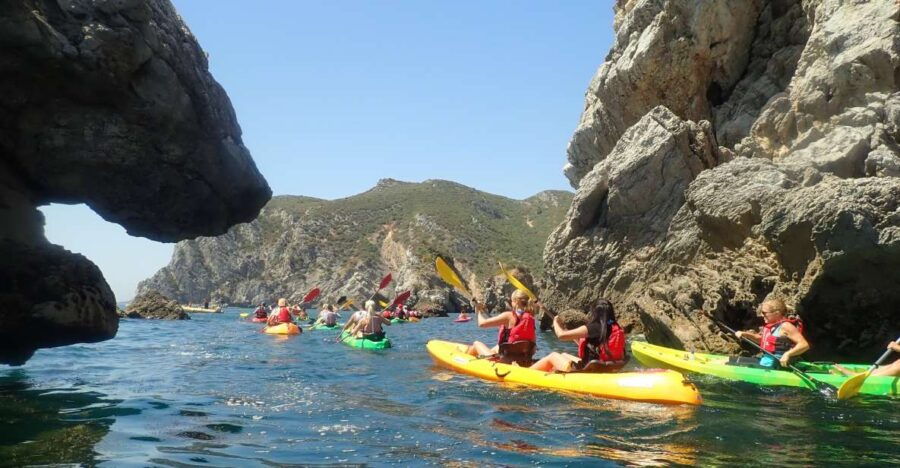 Lisbon: Sesimbra Kayak Discovery Experience - Good To Know