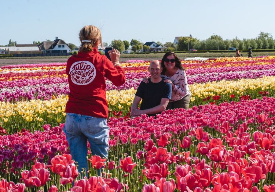 Lisse: Tulip Experience Ticket With Museum and Flower Pick - Good To Know