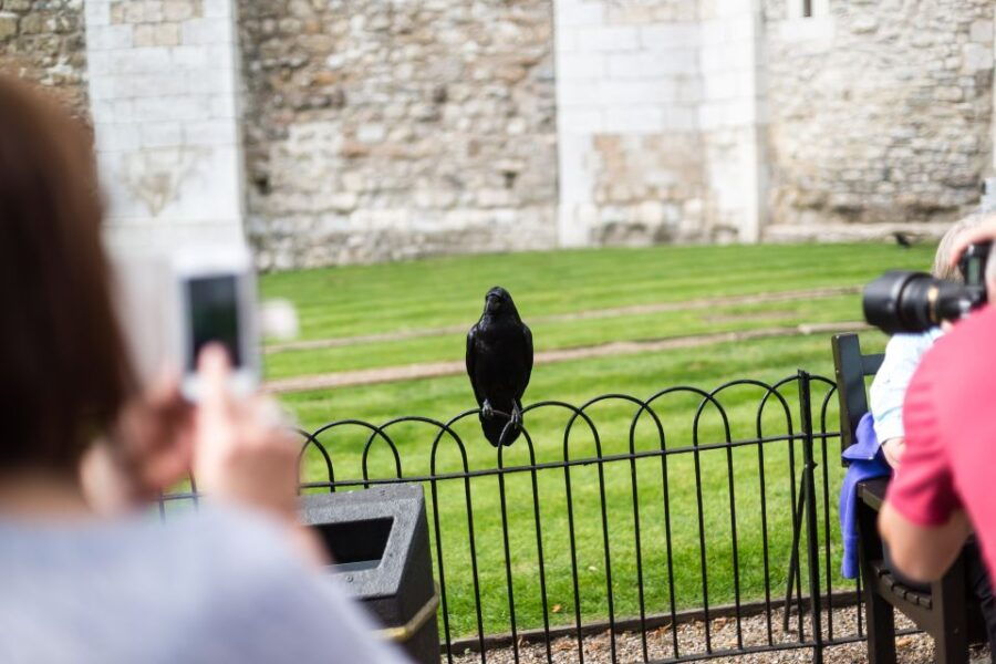 London: Early Entry Tower of London Tour & Meet a Beefeater - Good To Know