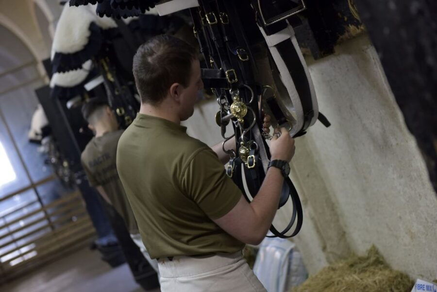 London: Household Cavalry Museum Entry Ticket - Good To Know