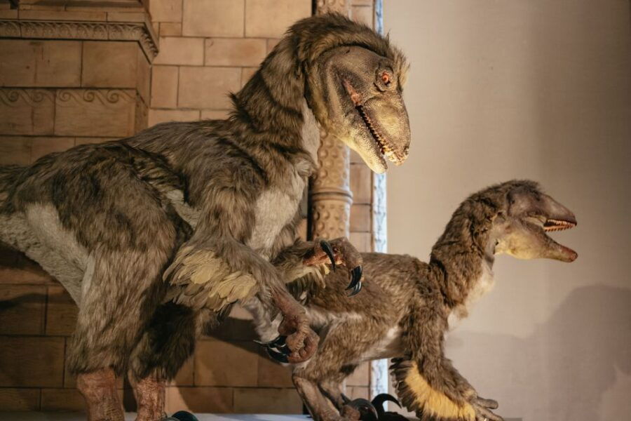 London: Natural History Museum Private Guided Family Tour - Good To Know