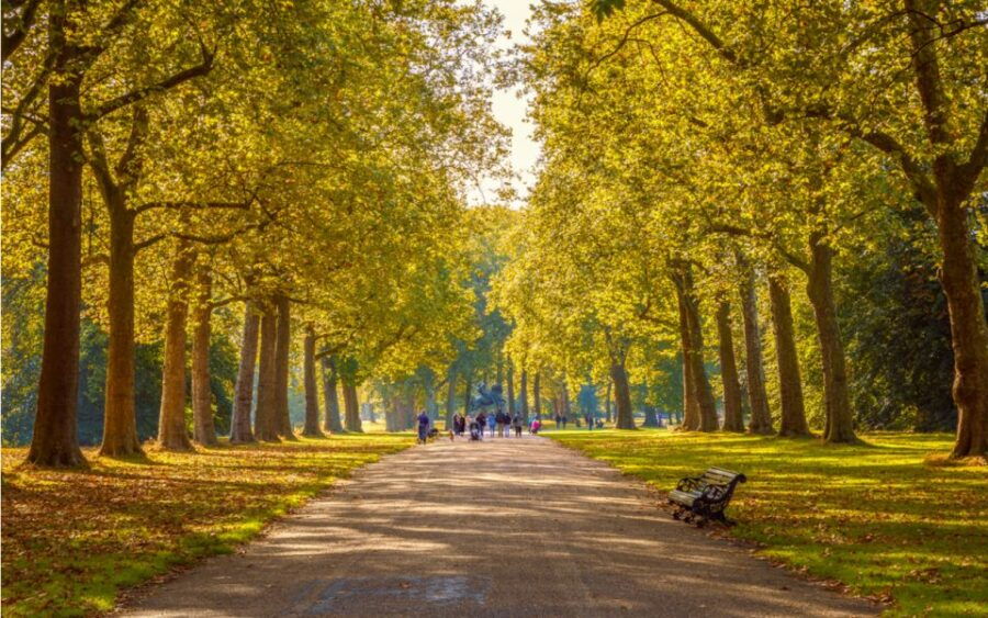 London Outdoor Escape Game: Queen & Freddie Mercury - Good To Know