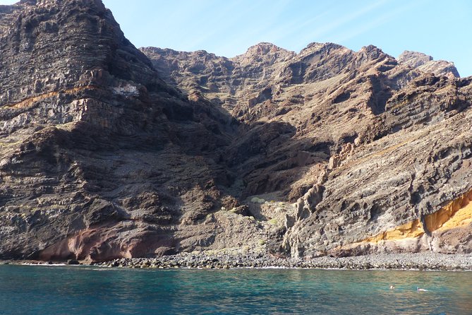 Los Gigantes Whale Watching Charter by Sail Boat
