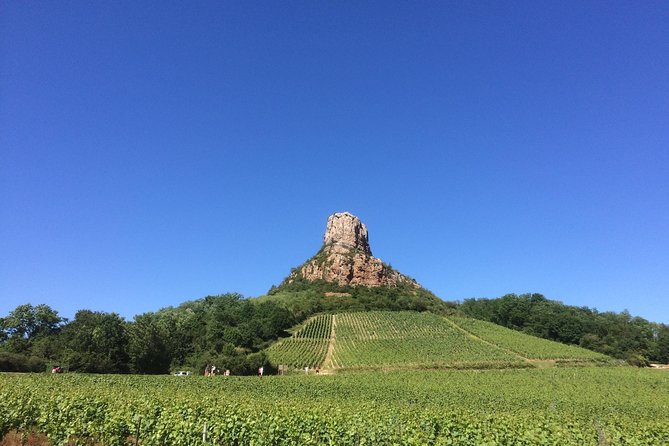 Macon & Beaujolais Wine Tour (9:00 Am to 5:15 Pm) - Small Group Tour From Lyon - Good To Know