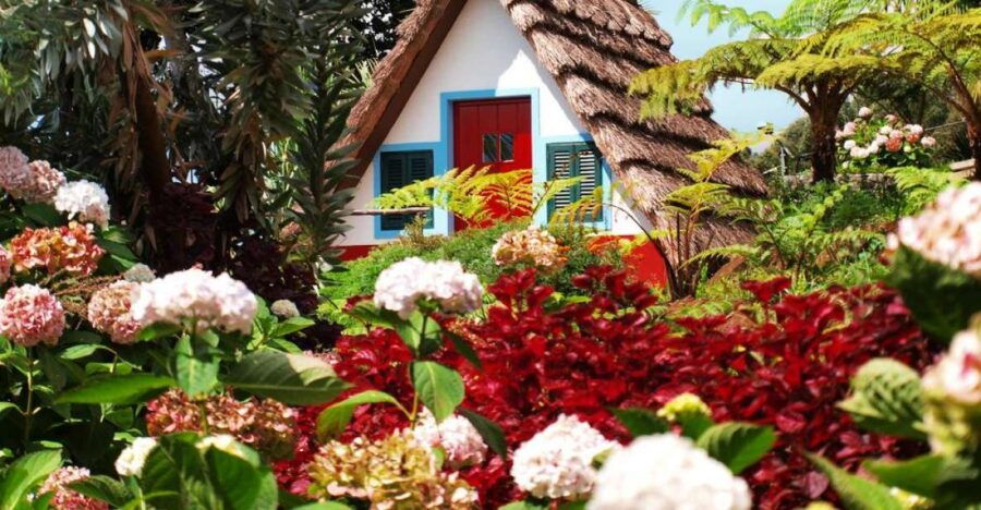 Madeira East Island Tour and Levada Walk - Good To Know