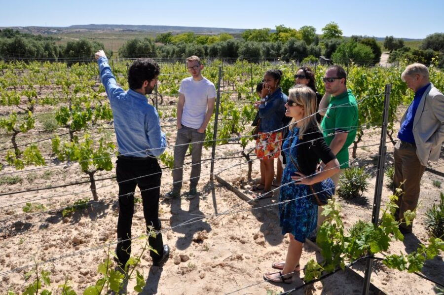 Madrid Region Wineries: Guided Tour and Tastings - Good To Know