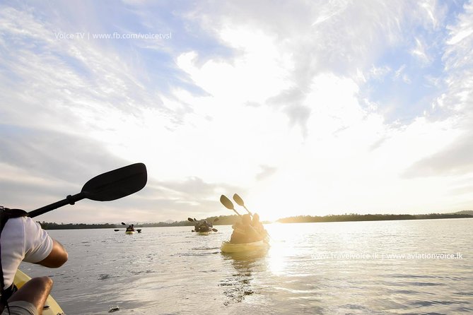 Madu River Sunrise Mangrove Kayaking From Bentota