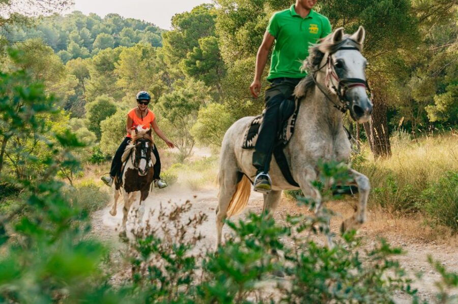 Mallorca: Mountain Horse Riding Experience W/ Brunch Option - Good To Know
