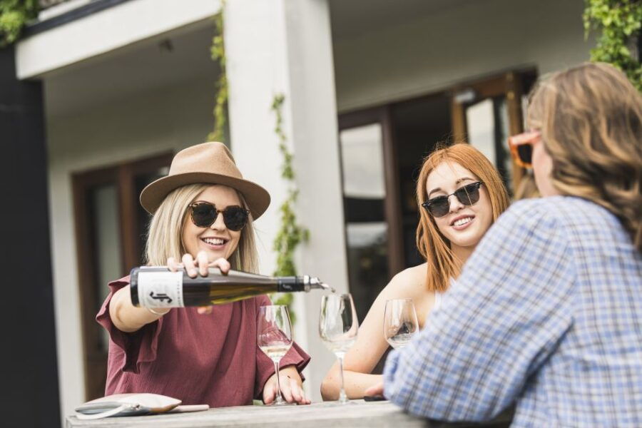 Marlborough: Wineries Visit With Tastings and 2-Course Lunch