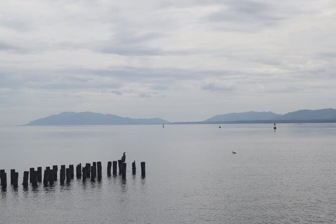 Matsue Half-Day Private Trip With Government-Licensed Guide