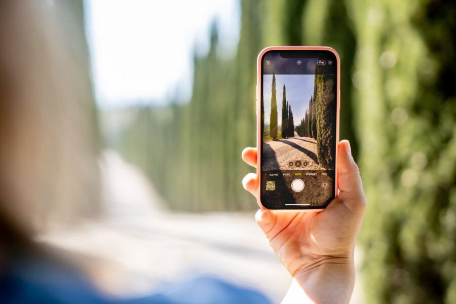 Montalcino: Guided Winery Tour and WineTasting