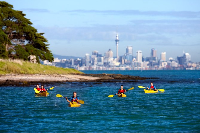 Motukorea / Browns Island Sea Kayak Journey - Good To Know