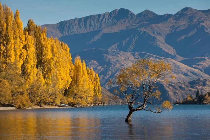 Mou Waho Island Cruise and Nature Walk From Wanaka - Good To Know
