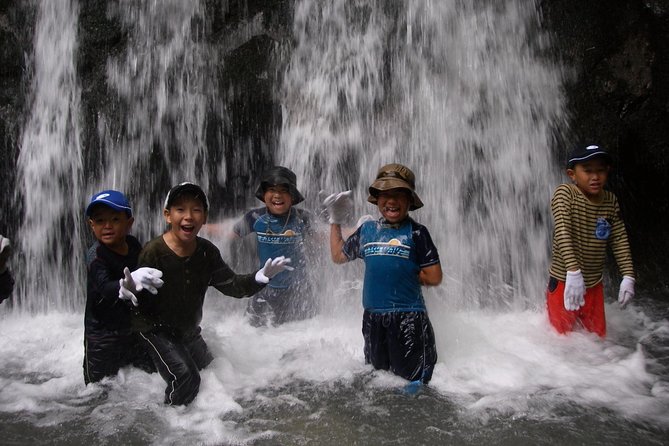 Mount Daisen Canyoning (*Limited to International Travelers Only) - Good To Know