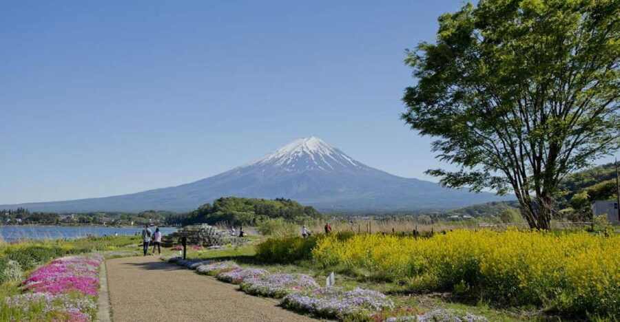 Mount Fuji Full Day Private Tour (English Speaking Driver)