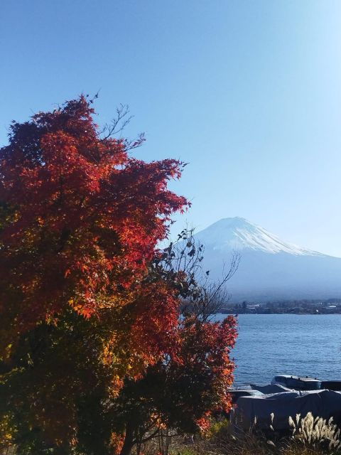 Mount Fuji-Lake Kawaguchi Private Tour With Bilingual Driver - Good To Know