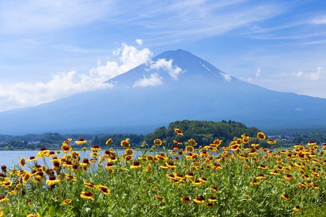 Mt Fuji Day Tour With Kawaguchiko Lake and Fifth Station - Good To Know