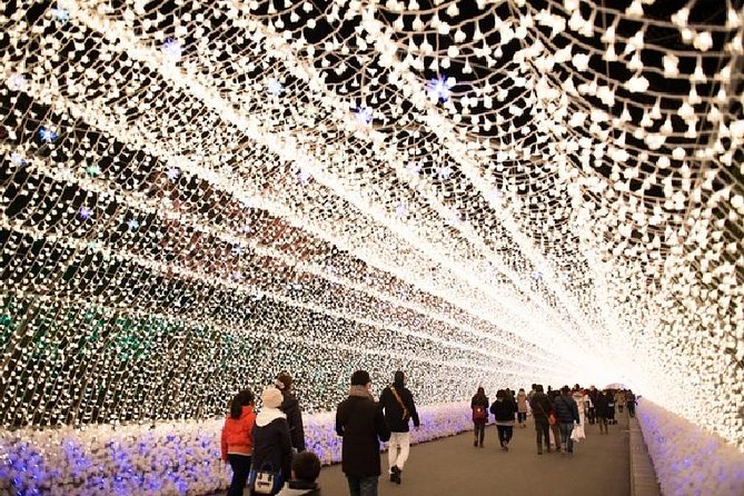 Mt. Gozaisho Ropeway, Nabana No Sato for Illumination and Begonia Garden! - Good To Know