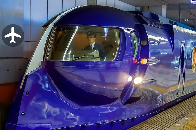 Nankai Line Airport Express Train Tickets (Kansai Airport or Namba Departure)