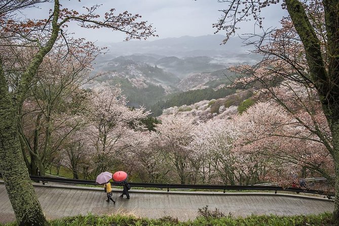 Nara Like a Local: Customized Private Tour - Good To Know