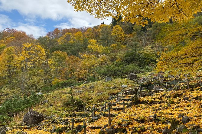 Niigata Custom Half Day Tour - Good To Know