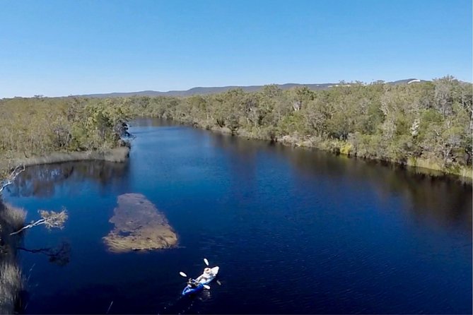 Noosa Everglade Kayak -South/Noosa End - Searching for Stingrays!