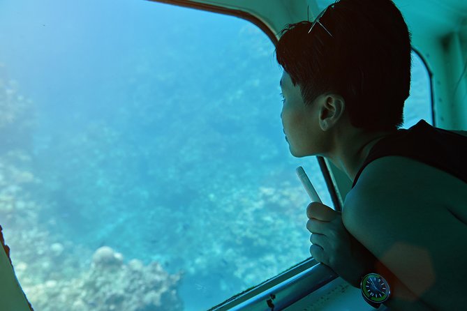 Odyssey 3: El Recorrido En Barco Con Fondo De Cristal En Fuerteventura
