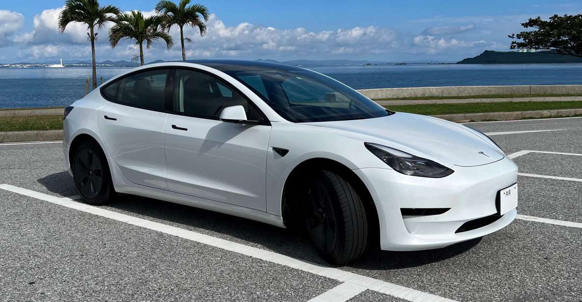 Okinawa Car Rental With Tesla - Good To Know