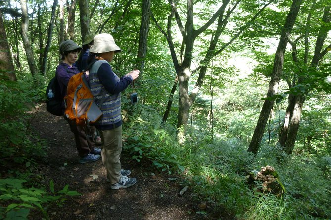 Old Nakasendo Trekking From Karuizawa-Beyond Sugahi Pass to Sakamoto Hotel-
