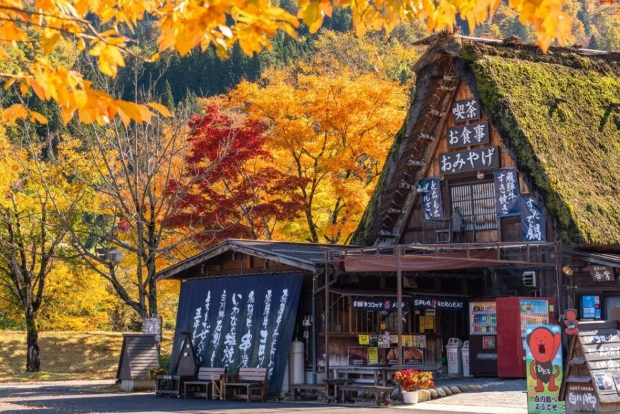 One Day Private Tour To Shirakawago & Takayama Eng Driver