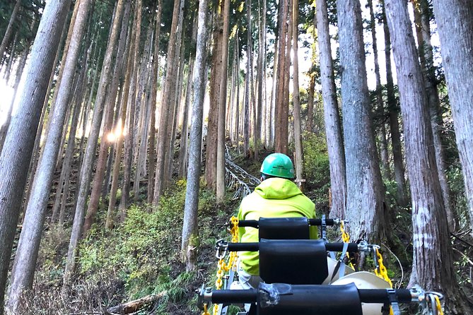 One Day Tour of Tokyos Plentiful Nature in Hinohara Village - Good To Know