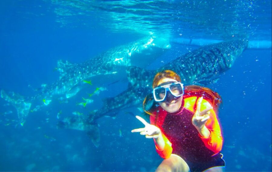 Oslob: Sumilon Sand Bar, Whale Sharks & Snorkeling Day Trip - Activity Details