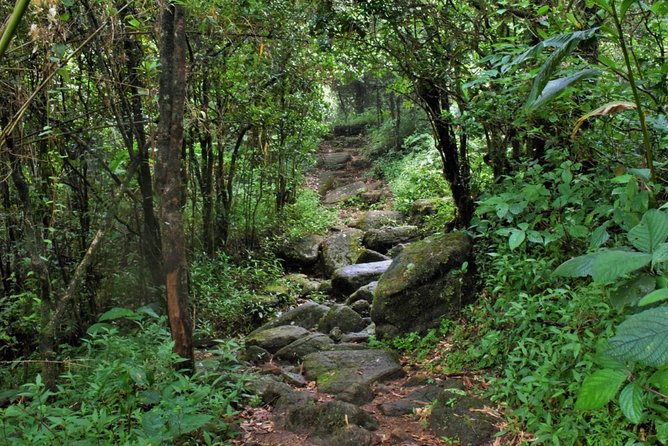 Overnight Adventure Trekking in Knuckles
