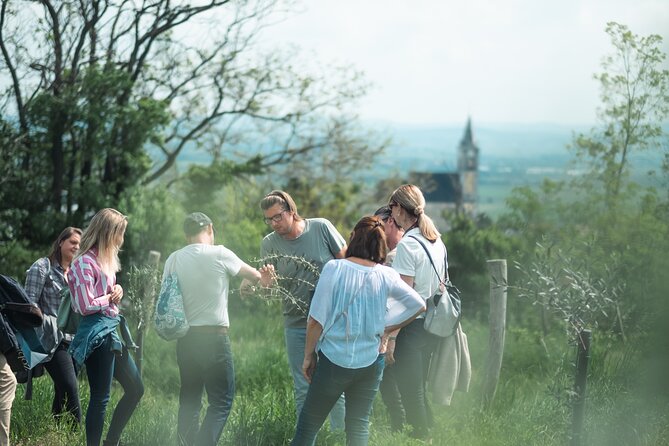 Pannolio Olive Experience in Eisenstadt - Good To Know