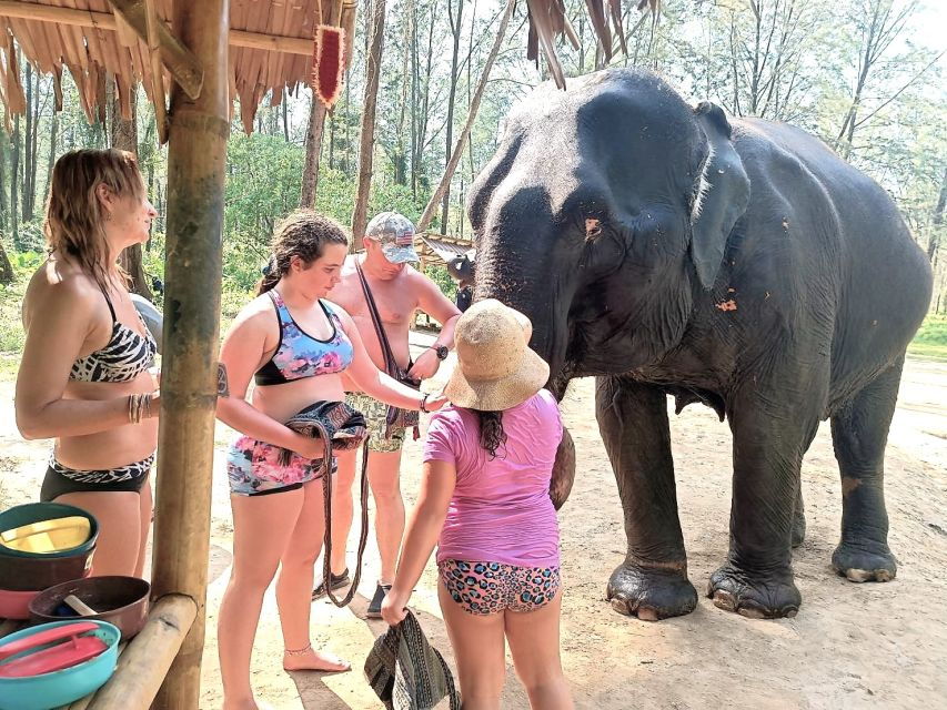 Phuket: Elephant & Sea Turtle Conservation Tour With Rafting - Good To Know