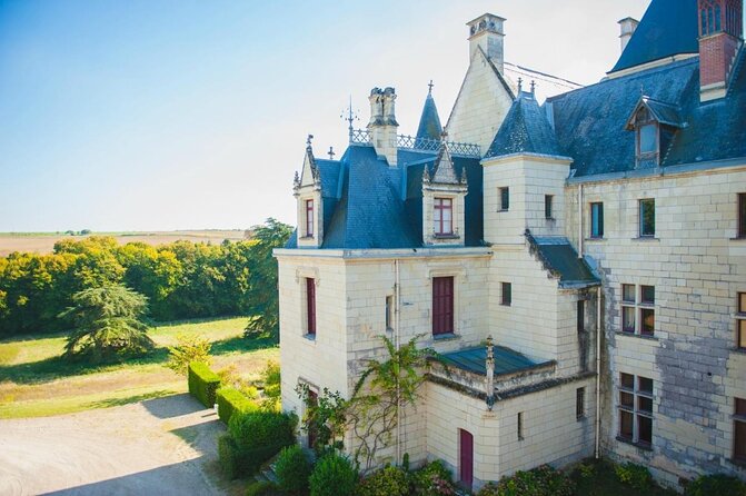 Picnic in the Vines – A Unique Loire Wine Experience