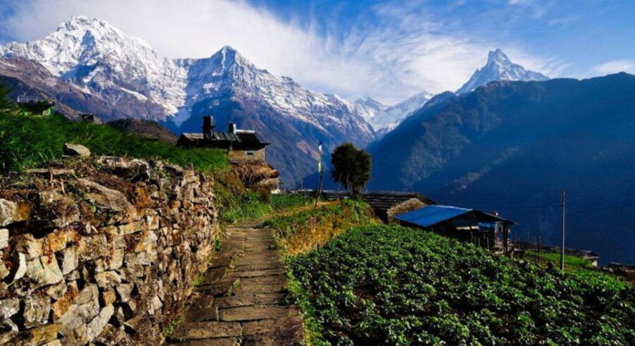 Pokhara: 3 Days Panchase Trek - Good To Know