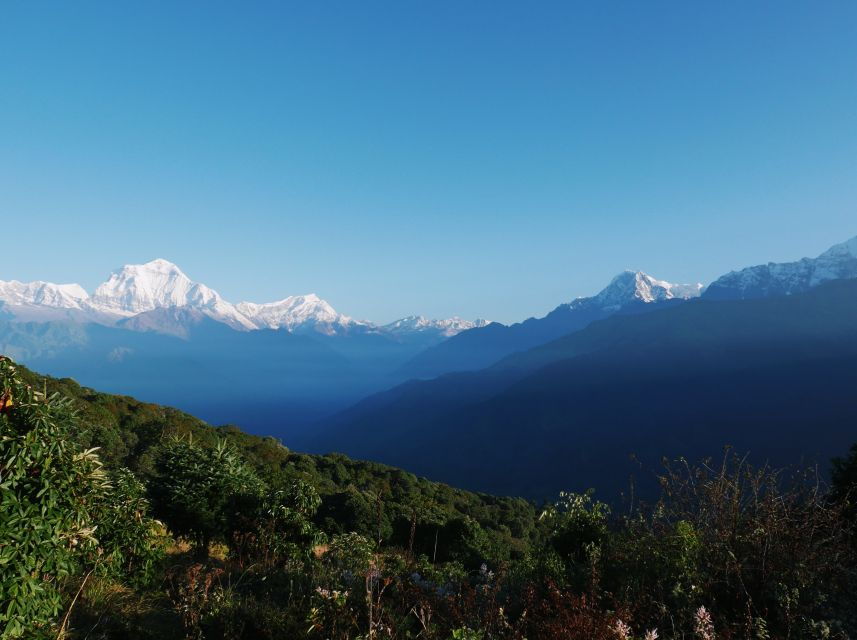 Pokhara:4-Day Ghorepani Poon Hill Guided Trek via Ghandruk - Good To Know