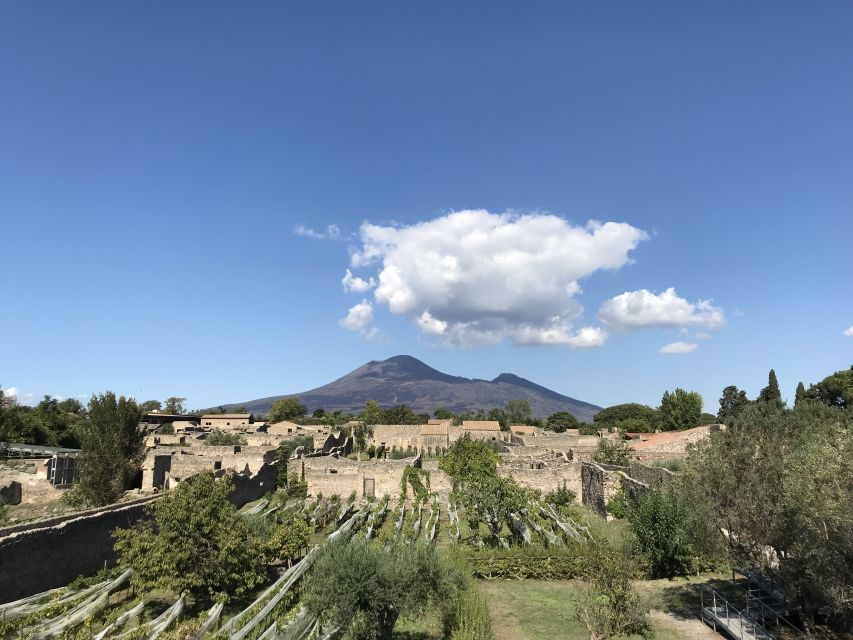 Pompeii & Herculaneum Private Skip-The-Line Tour With Ticket