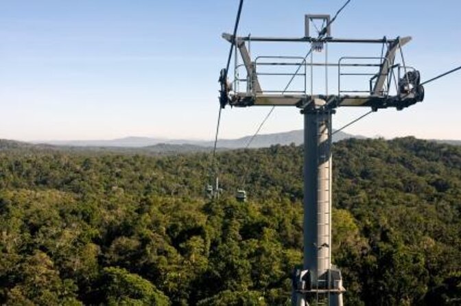 Port Douglas: Kuranda Day Tour With Skyrail Rainforest Cableway and Scenic Train - Good To Know