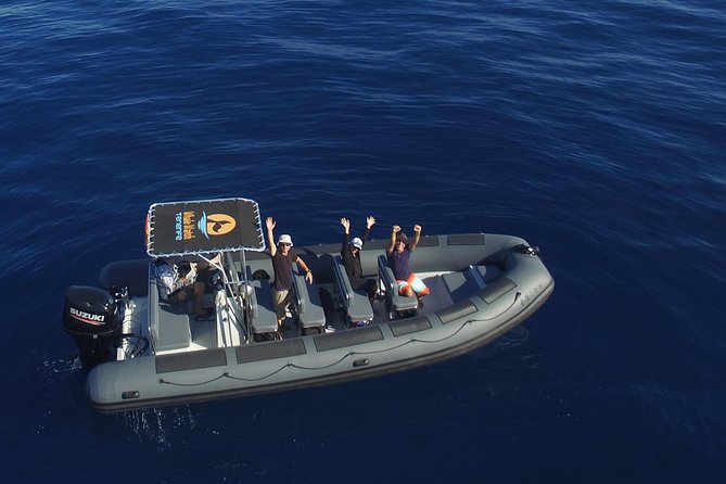 Private 2 Hour Whale Watching Tour - Good To Know
