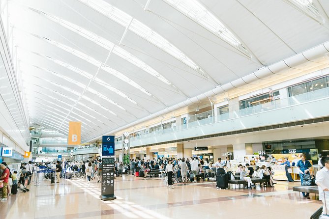Private Arrival Transfer : Haneda International Airport to Tokyo Disney