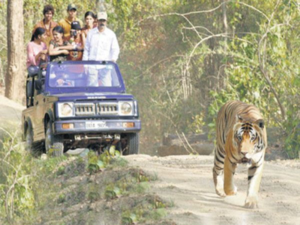 Private Bannerghatta National Park Day Excursion
