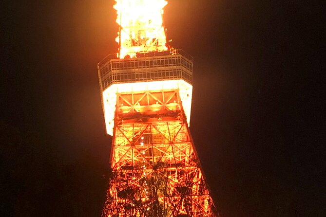 Private Car Transportation From Tokyo to Narita Airport - Good To Know