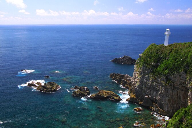 Private Charter Bus 8 Days Tour From Kyushu to Kobe via Shikoku - Good To Know