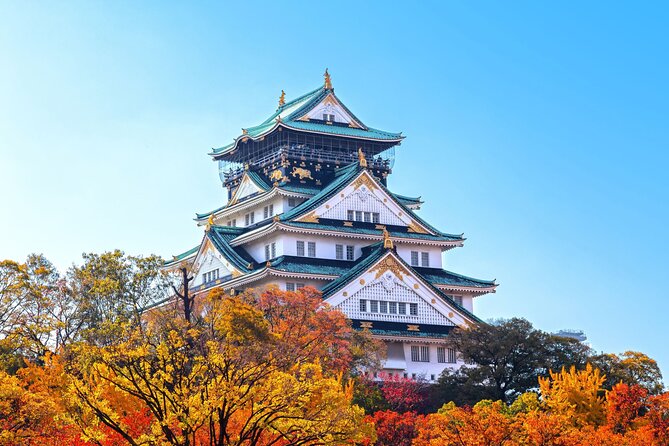 Private Custom Tour With a Local Guide Osaka