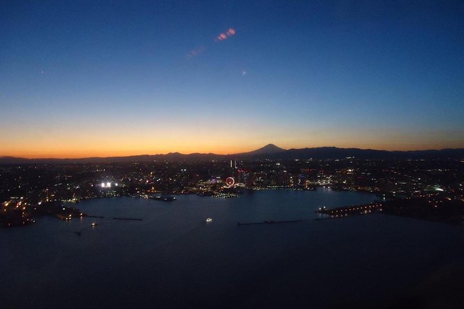 Private Helicopter Tour to See Mt Fuji or Tokyo Tower