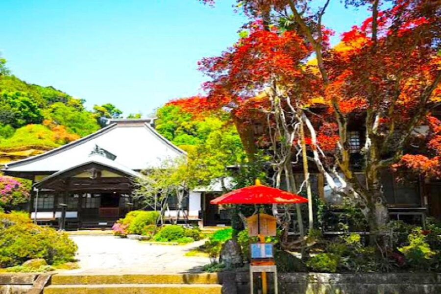 Private Kamakura and Enoshima Tour With Guide
