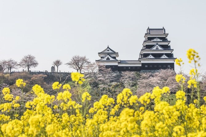 Private Multiday Historical Tour in Ehime